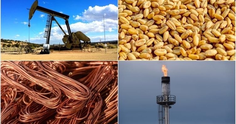 Emtia piyasası yılın ilk yarısında zirvelere oynadı