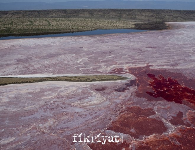 Natron Gölü, Tanzanya