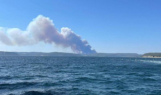 Wildfire halts maritime traffic in Dardanelles Strait