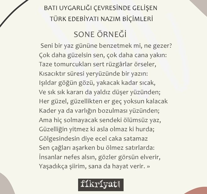 SONE NEDİR? SONA ÖRNEĞİ