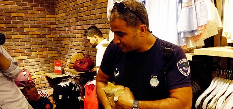 KITTENS RESCUED AFTER TURKISH STORE OWNER HAS CHANGE OF HEART