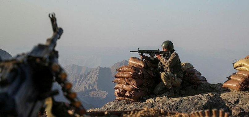 2 PKK TERRORISTS KILLED IN SOUTHERN TURKEY