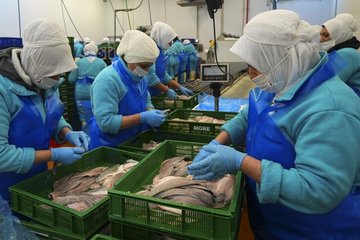Türkiye geçen yıl 133 ülkeye 2,2 milyar dolarlık su ürünleri ihraç etti