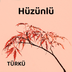 Hüzünlü Türküler | Türkü