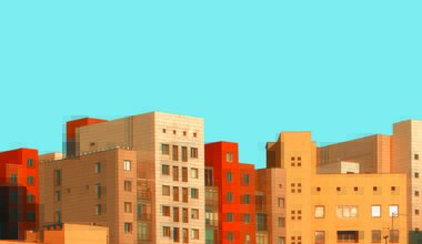 ŞEHİR VE AİDİYET