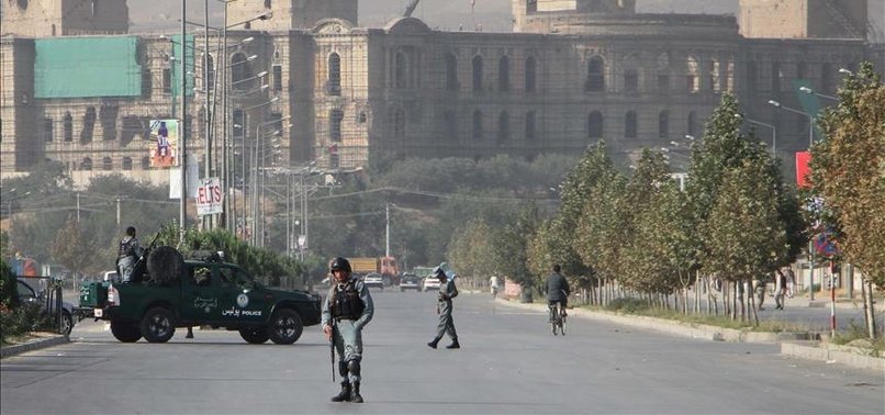AFGHAN TALIBAN URGED TO RELEASE KIDNAPPED PROFESSORS
