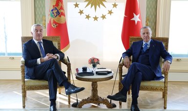 Turkish, Montenegrin presidents meet in Istanbul for talks