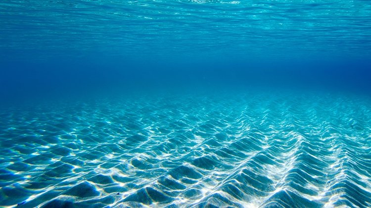 Okyanuslardaki ısınma deniz ekosistemini yeniden şekillendiriyor