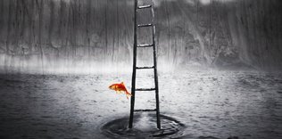 Kan dökücü romantizm