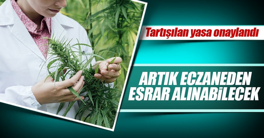 Ağır hastalara reçete ile esrar
