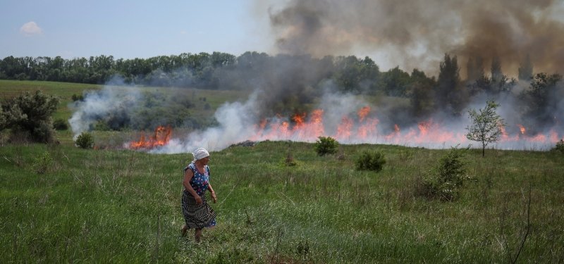 Ukraine has lost '25% of its arable land' to war: agriculture ministry