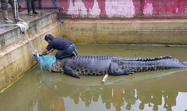 Crocodile kills woman in Indonesia