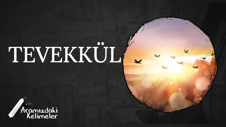 Tevekkül | Aramızdaki Kelimeler
