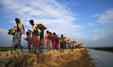 'Rohingya wants to co-exist with Rakhine'