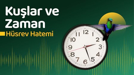 Hüsrev Hatemi - Kuşlar ve Zaman