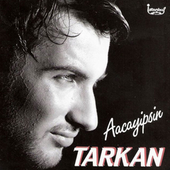 Aacayipsin