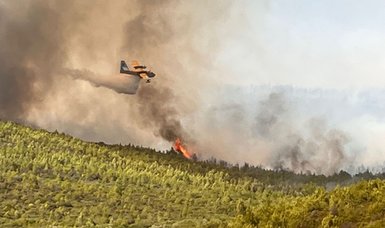 Forest fire in Türkiye’s Muğla: Smoke surrounds air