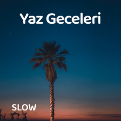 Aşk Bu Gece Şehri Terk Etti