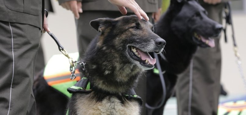 ECUADOR RETIRES 61 POLICE DOGS WITH HONORS