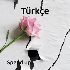 İstanbul (Speed up)