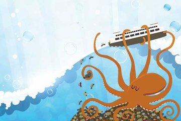 Darwin’i şaşırtan yaratık: Ahtapot