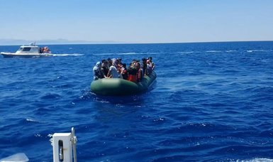 Türkiye rescues 84 irregular migrants pushed back by Greece
