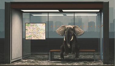 İNSAN NİÇİN ŞAHİT ARAR?