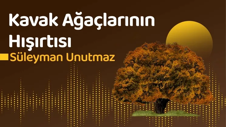 Kavak Ağaçlarının Hışırtısı