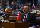 Russian oligarchs can do any business in Turkey if abide by international law: Çavuşoğlu