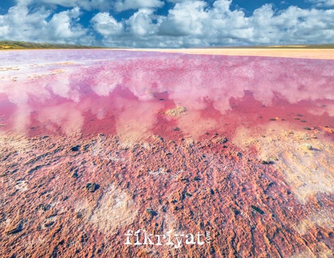 Doğa harikası pembe göller