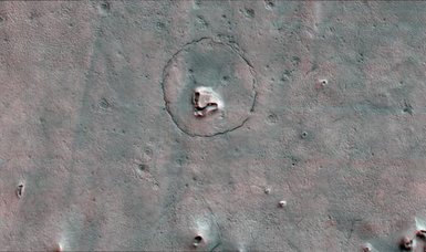 Astronomers discover a 'bear' on Mars