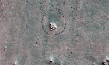 Astronomers discover a 'bear' on Mars