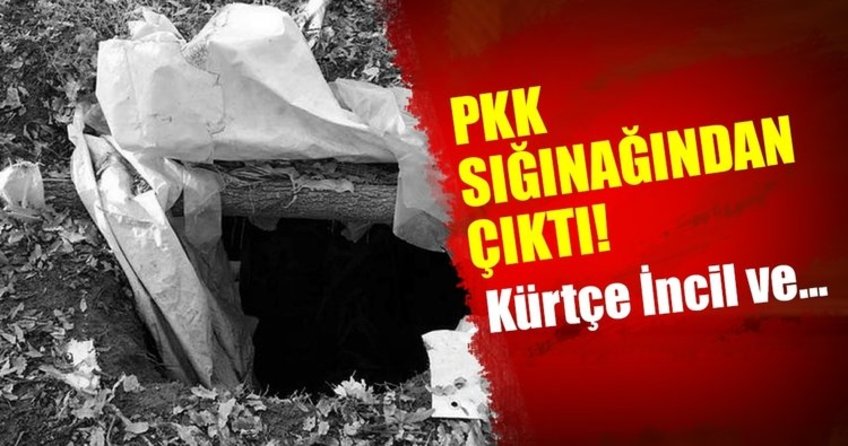 İşte Norveç vatandaşı PKK’lı terörist!