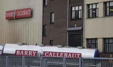 Salmonella discovered in chocolate factory in Belgium