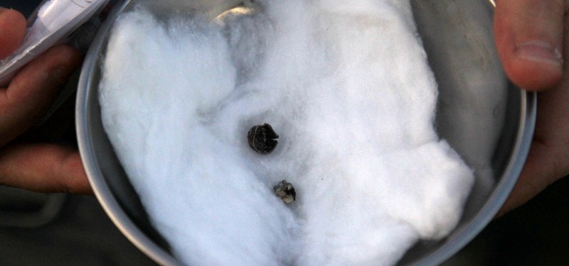 3,000-year-old nutshell found in Hittite city in northern Turkey