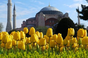 İstanbul’un Lale Durakları