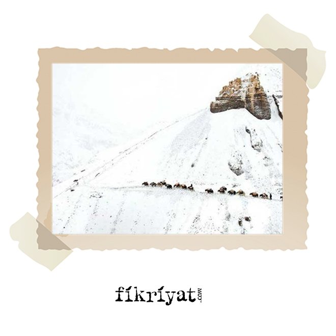 DÜNYADA YAŞAMIN EN ZOR OLDUĞU YER