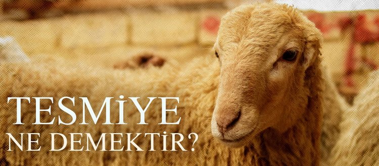 tesmiye ne demektir muslumanlarin hayvan keserken allah in adini anmasi sart midir fikriyat