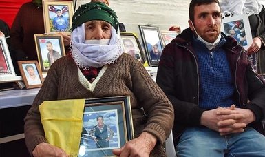 2 more Kurdish families join anti-PKK sit-in protest in southeast Turkey