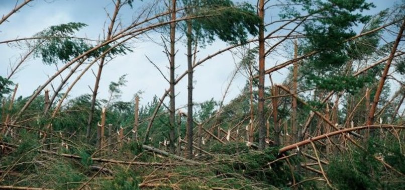 4 KILLED BY HIGH WINDS IN POLAND