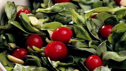 Sarımsaklı Semizotu Salatası