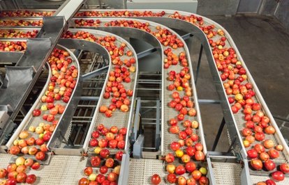 TarımahrefindexgidaclasstkktLnktargetblankgıdaaveiçeceksektöründen7ayda1452milyardolarihracat