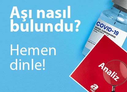 https www sabah com tr egitim 2021 03 31 tavsanin kac ayagi var tavsan kac yil yasar e1