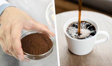 Wake up and smell 'sustainable' coffee produced in Finnish lab