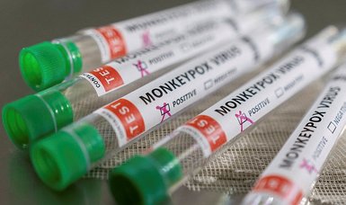 WHO to use 'mpox' for monkeypox