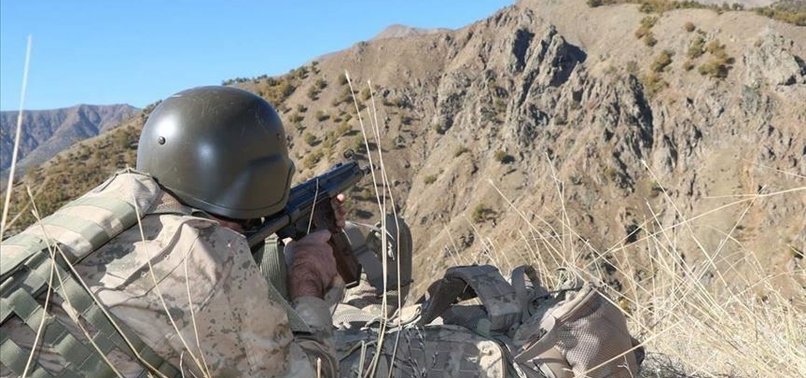 TÜRKIYE ‘NEUTRALIZES’ 4 PKK TERRORISTS IN COUNTRY’S SOUTHEAST