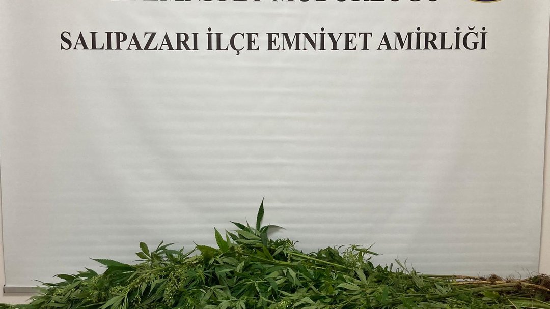 SAMSUN’DA ZEHİR OPERASYONU