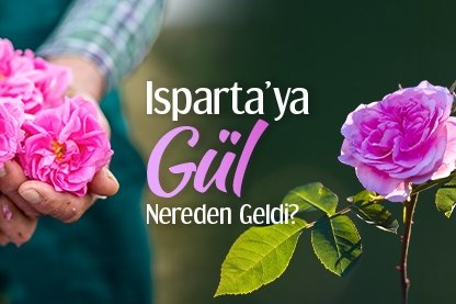 Isparta’ya gül, nereden geldi?