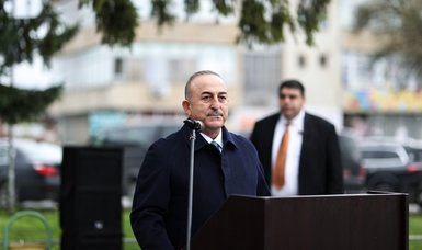 Turkish foreign minister thanks Turkish community in Bulgaria for solidarity after Feb. 6 earthquakes