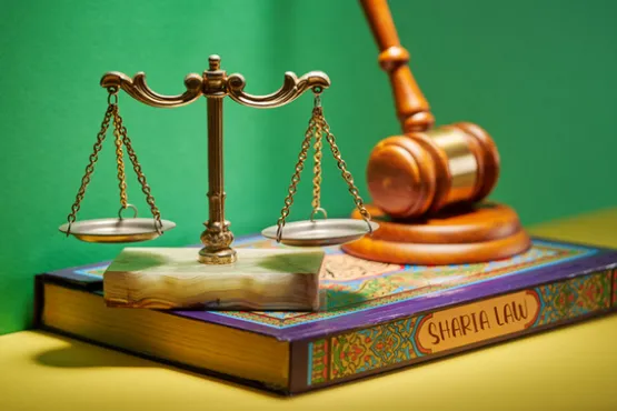 Uçan bir kuşu satın alabilir miyiz? İslam hukukunda garar kavramı